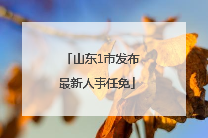 山东1市发布最新人事任免