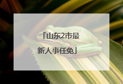 山东2市最新人事任免