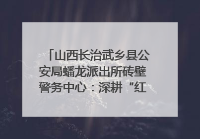 山西长治武乡县公安局蟠龙派出所砖壁警务中心：深耕“红色警务” 谱写“平安答卷”