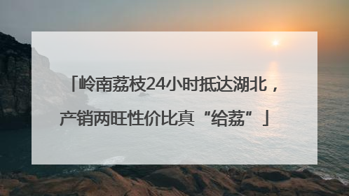 岭南荔枝24小时抵达湖北，产销两旺性价比真“给荔”