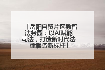 岳阳自贸片区数智法务园：以AI赋能司法，打造新时代法律服务新标杆