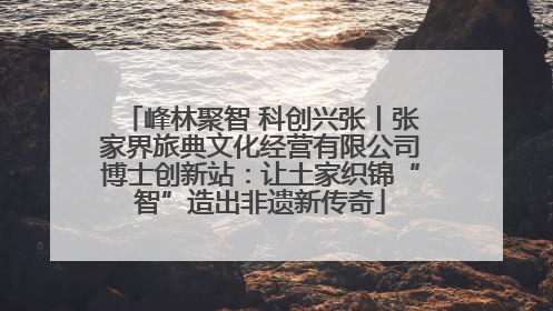 峰林聚智 科创兴张丨张家界旅典文化经营有限公司博士创新站：让土家织锦“智”造出非遗新传奇
