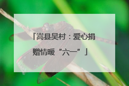 嵩县吴村：爱心捐赠情暖“六一”