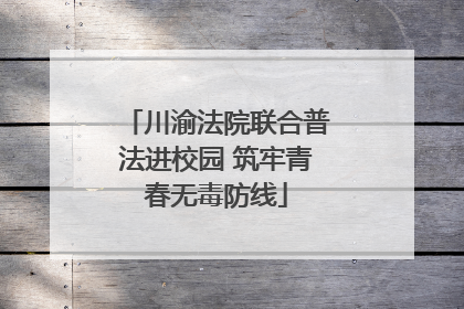 川渝法院联合普法进校园 筑牢青春无毒防线