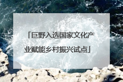 巨野入选国家文化产业赋能乡村振兴试点