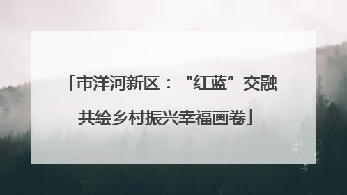 市洋河新区：“红蓝”交融 共绘乡村振兴幸福画卷