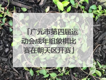 广元市第四届运动会成年组象棋比赛在朝天区开赛