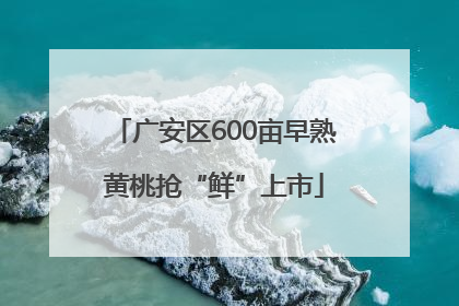 广安区600亩早熟黄桃抢“鲜”上市