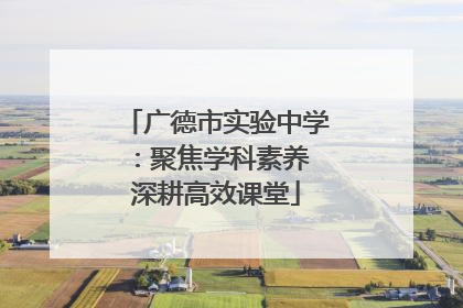 广德市实验中学：聚焦学科素养 深耕高效课堂