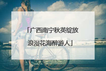 广西南宁秋英绽放 浪漫花海醉游人
