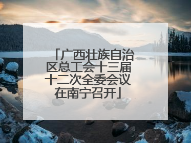 广西壮族自治区总工会十三届十二次全委会议在南宁召开