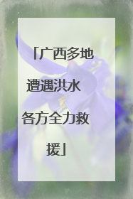 广西多地遭遇洪水 各方全力救援