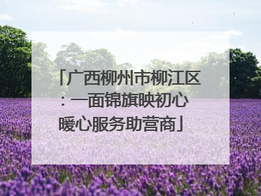 广西柳州市柳江区：一面锦旗映初心 暖心服务助营商