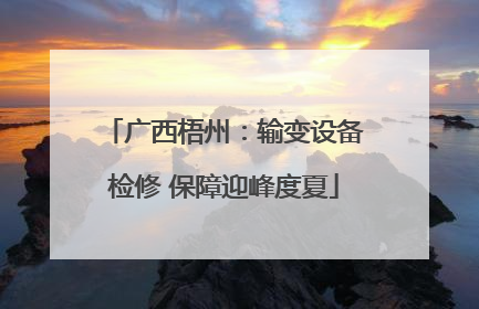 广西梧州：输变设备检修 保障迎峰度夏