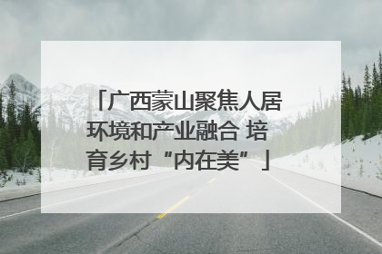 广西蒙山聚焦人居环境和产业融合 培育乡村“内在美”