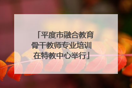 平度市融合教育骨干教师专业培训在特教中心举行