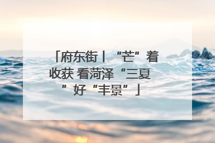 府东街丨“芒”着收获 看菏泽“三夏”好“丰景”