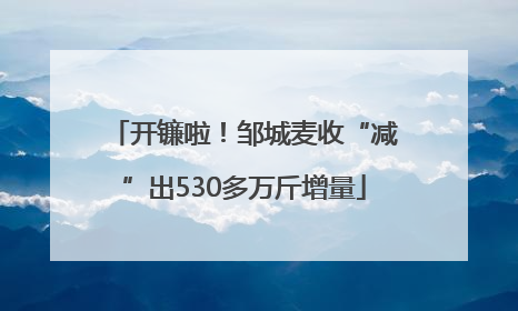 开镰啦！邹城麦收“减”出530多万斤增量