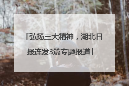弘扬三大精神，湖北日报连发3篇专题报道