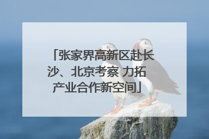 张家界高新区赴长沙、北京考察 力拓产业合作新空间