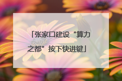 张家口建设“算力之都”按下快进键