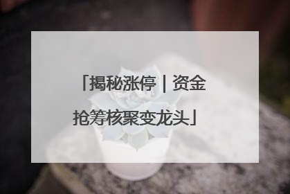 揭秘涨停｜资金抢筹核聚变龙头