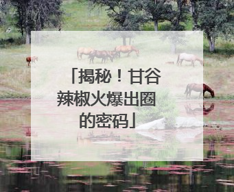 揭秘！甘谷辣椒火爆出圈的密码