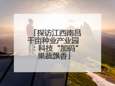 探访江西南昌千亩种业产业园：科技“加码” 果蔬飘香