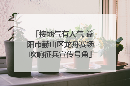 接地气有人气 益阳市赫山区龙舟赛场吹响征兵宣传号角