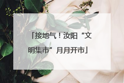 接地气！汝阳“文明集市”月月开市