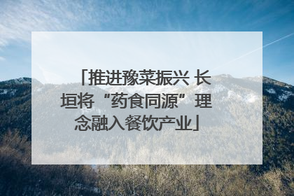 推进豫菜振兴 长垣将“药食同源”理念融入餐饮产业