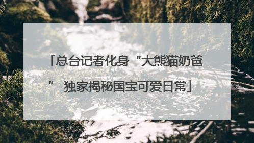 总台记者化身“大熊猫奶爸” 独家揭秘国宝可爱日常