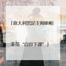 意大利男足主帅斯帕莱蒂“自宣下课”