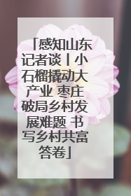感知山东记者谈丨小石榴撬动大产业 枣庄破局乡村发展难题 书写乡村共富答卷