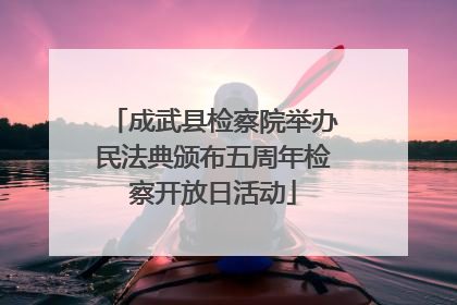 成武县检察院举办民法典颁布五周年检察开放日活动