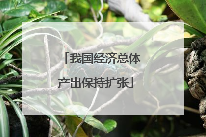 我国经济总体产出保持扩张