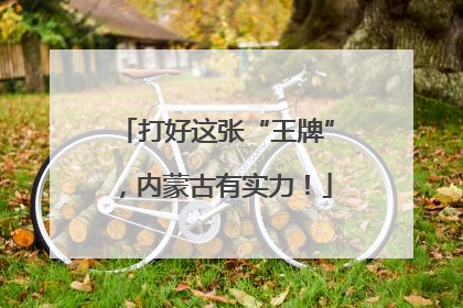 打好这张“王牌”，内蒙古有实力！