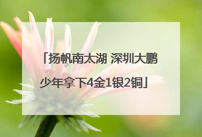 扬帆南太湖 深圳大鹏少年拿下4金1银2铜