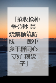 抢收抢种争分秒 禁烧禁抛筑防线——郎中乡干群同心守好 粮袋子