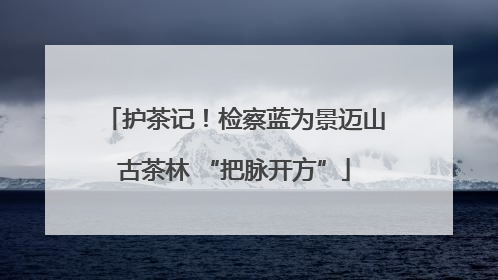 护茶记！检察蓝为景迈山古茶林 “把脉开方”