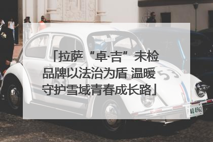 拉萨“卓·吉”未检品牌以法治为盾 温暖守护雪域青春成长路