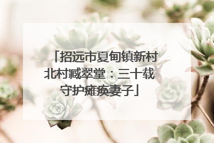 招远市夏甸镇新村北村臧翠堂：三十载守护瘫痪妻子