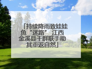 持续降雨致娃娃鱼“迷路” 江西金溪县干群联手助其重返自然