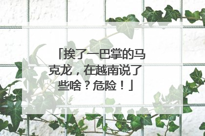 挨了一巴掌的马克龙，在越南说了些啥？危险！