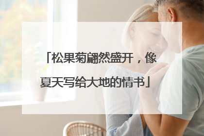 松果菊翩然盛开，像夏天写给大地的情书