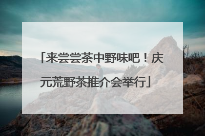 来尝尝茶中野味吧！庆元荒野茶推介会举行