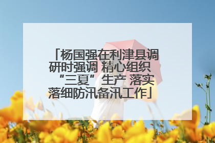 杨国强在利津县调研时强调 精心组织“三夏”生产 落实落细防汛备汛工作