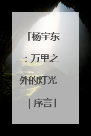 杨宇东：万里之外的灯光｜序言