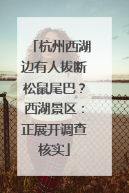 杭州西湖边有人拔断松鼠尾巴？西湖景区：正展开调查核实