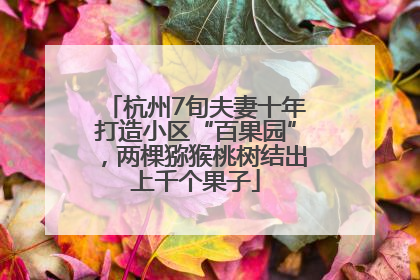 杭州7旬夫妻十年打造小区“百果园”，两棵猕猴桃树结出上千个果子